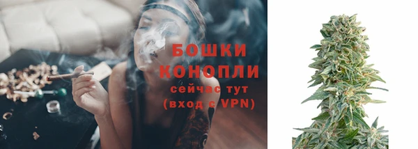 спайс Белокуриха