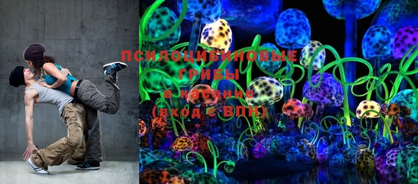 спайс Белокуриха
